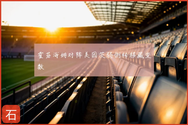 霍芬海姆对阵美因茨弱侧转移藏变数