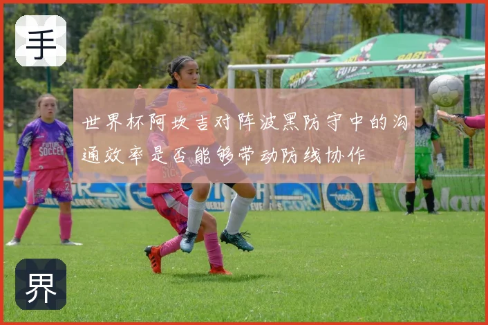 世界杯阿坎吉对阵波黑防守中的沟通效率是否能够带动防线协作